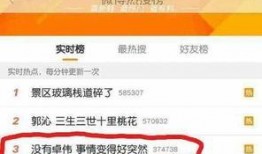 卓伟快手爆料事件视频,揭秘背后真相与争议
