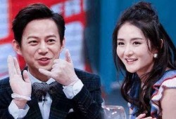谢娜何炅最新爆料,娱乐圈背后的故事与趣闻
