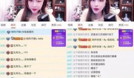 爆料没有视频怎么办啊,无视频爆料背后的真相与影响