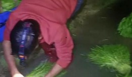 网友爆料广东夫妇视频,揭秘真实生活片段