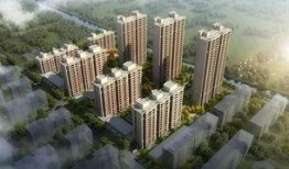 南海海安最新爆料,揭秘神秘军事行动内幕