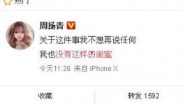 璐宝最新爆料新闻,最新爆料新闻背后的真相与内幕