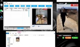 小程序今日爆料视频下载,热门视频下载背后的秘密