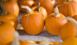 番瓜吃瓜视频免费观看,轻松解锁精彩瞬间