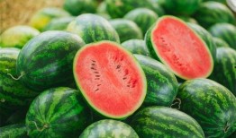 qq磕瓜群免费吃瓜时间,免费吃瓜时间，揭秘娱乐圈幕后故事