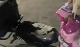 外卖小哥最新爆料带小孩,带娃送餐的酸甜苦辣