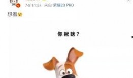 教主爆料赵丽颖视频,揭秘明星日常与幕后故事