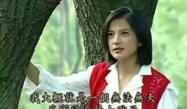 扒爷爆料苏有朋赵薇视频,苏有朋赵薇神秘视频幕后真相