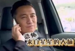 黄磊吃鸡爆料视频大全集,美食家与鸡的欢乐碰撞