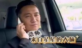 黄磊吃鸡爆料视频大全集,美食家与鸡的欢乐碰撞