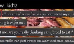 一线吃瓜小说免费阅读,揭秘娱乐圈幕后风云，免费畅读独家秘闻