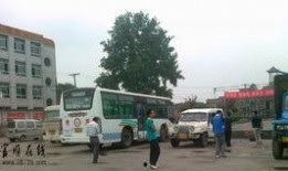 君安驾校新闻爆料事件,揭秘驾校内部风波与学员权益争议