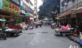 江南新村爆料视频大全,揭秘社区生活点滴