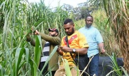 草在线观看100,深度解析热门影视作品背后的故事