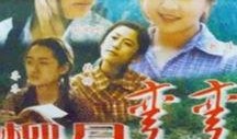 柳月弯弯在线观看,浪漫邂逅，在线共赏