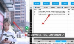 小程序今日爆料视频下载,热门视频下载背后的秘密
