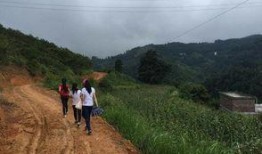 留坝县导游爆料案件视频,揭秘惊心动魄的幕后真相