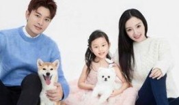 辛巴爆料贾乃亮微博视频,辛巴揭露贾乃亮微博视频背后真相