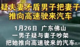 网友爆料广东夫妇视频,揭秘真实生活片段