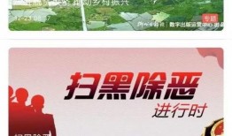 飞鹤最新爆料新闻消息视频