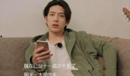 米饼姑姑维姐爆料视频在线观看,揭秘幕后真相，带你走进事件核心