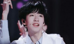 贺峻霖爆料韩国女星视频,韩国女星私密视频事件引发热议