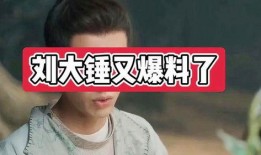 刘大锤被爆料了吗视频,揭秘背后真相