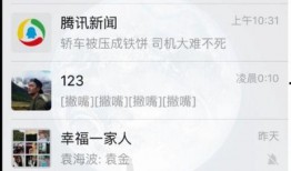 有网友爆料大鹅吗视频播放,大鹅视频播放引发热议，究竟有何内幕？