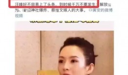 娱乐大爆料陈数是谁啊,娱乐大爆料中的璀璨明星