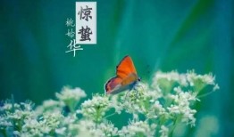 春风春雨最新爆料,娱乐圈最新爆料大起底