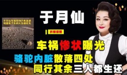 本山传媒相互爆料视频播放,爆笑互怼视频大揭秘