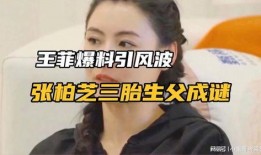 三胎生父爆料视频播放大全,揭秘背后真相与争议