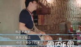 王宝强爆料老婆出轨视频,婚姻破裂真相揭晓