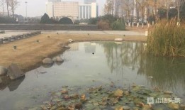 泗阳最新爆料事件,事件真相揭秘，社会关注焦点再升级