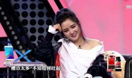 苏醒爆料何洁真相视频,苏醒爆料背后的惊人内幕