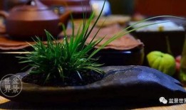 草在线观看100,深度解析热门影视作品背后的故事