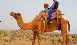 本杰明在线观看,揭秘网络世界的奇幻冒险之旅