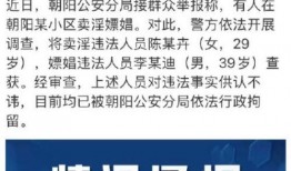 小说吃瓜直播免费阅读,揭秘娱乐圈背后的秘密