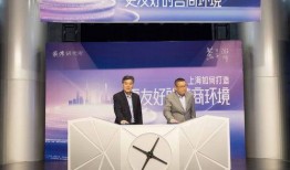 上海澎湃新闻爆料,揭秘某重大事件背后真相