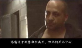 毒蛇2008电影在线观看,生死较量，惊悚来袭