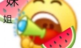 寿光吃瓜爆料视频播放,揭秘幕后真相，引发网友热议