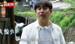 黄磊吃鸡爆料视频大全集,美食家与鸡的欢乐碰撞