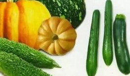 免费吃瓜地址有什么,畅享美食盛宴的秘密通道