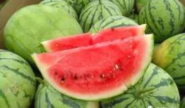 qq磕瓜群免费吃瓜时间,免费吃瓜时间，揭秘娱乐圈幕后故事