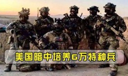 美国特种兵爆料视频,战场真实内幕曝光