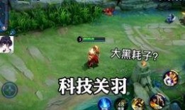 在哪看新皮肤爆料视频啊