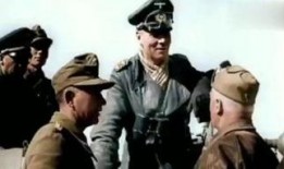 豹人在线观看,在线惊悚之旅，揭秘神秘生物的惊悚传说