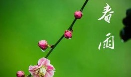 春风春雨最新爆料,娱乐圈最新爆料大起底