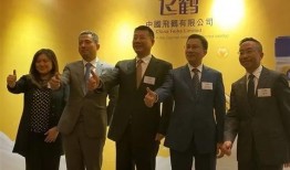 飞鹤最新爆料新闻消息视频