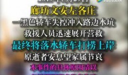 文安网友爆料新闻最新视频,视频揭露惊人真相！